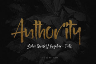 Authority Font Review