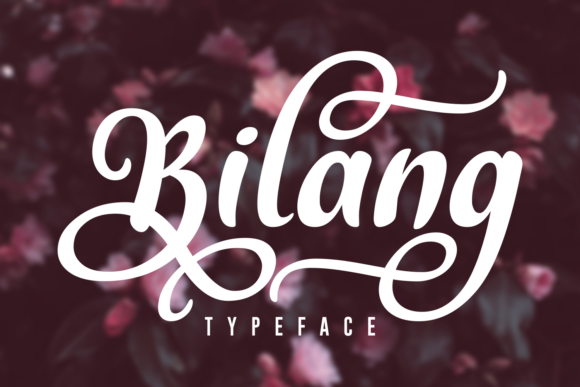 Bilang: A Bold Script Font for Craft Creators