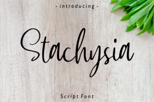 Stachysia: A Handwritten Font for Creative Projects